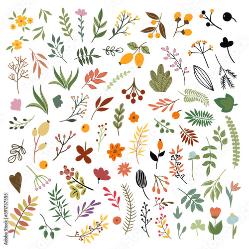 A set of exotic green leaves. Black leaves and bright berries. Summer fruits. A set of leaves. Handmade decorative elements. Vector illustration