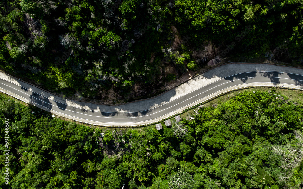 Aerial view of empty winding road in a forest. Highway through woodland