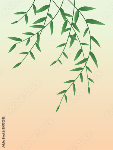 Fototapeta Naklejka Na Ścianę i Meble -  Illustration of green bamboo leaves. Spring plant elements.