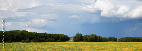landscape field and forest with rain clouds in the sky