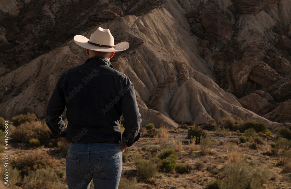 Rear view of adult man in cowboy hat in desert Rear view of adult man in cowboy hat in desert