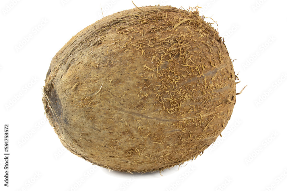 Coconut isolated on white background close up. Coconut isolated on white background close up.