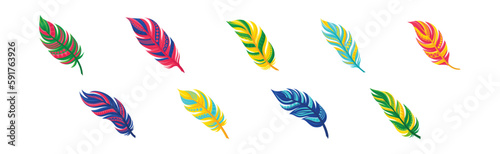 Decorative Curved Feathers as Avian Plumage Vector Set