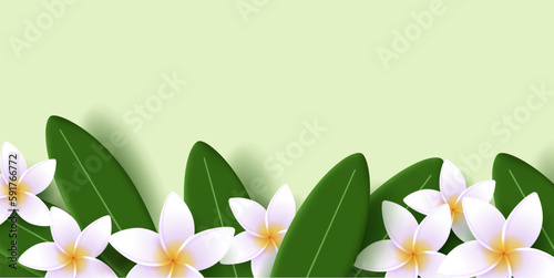 Vector illustration of exotic frangipani flower and leaves, frame the bottom of the screen, spa ad banner, tropical resort