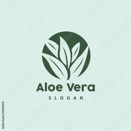 Aloe Vera Logo, Herbal Plant Vector, Illustration Symbol Icon Simple Design