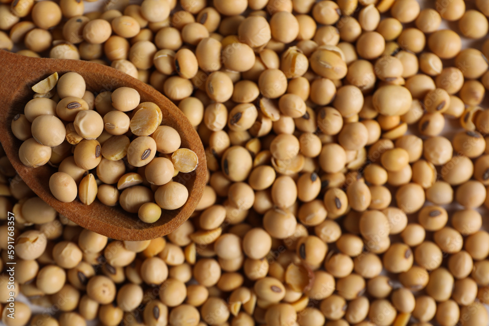 Wooden spoon with soy seeds, close up Wooden spoon with soy seeds, close up