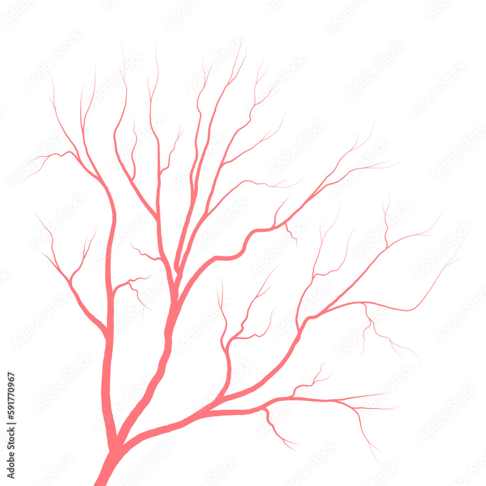 Fototapeta premium Human eye blood veins vessels silhouettes vector illustration isolated on white background. Eyeballs red veins anatomical human blood vessel artery health system.