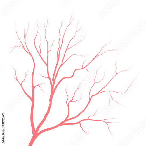Human eye blood veins vessels silhouettes vector illustration isolated on white background. Eyeballs red veins anatomical human blood vessel artery health system.
