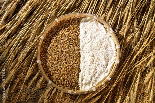 Wheat and flour photo