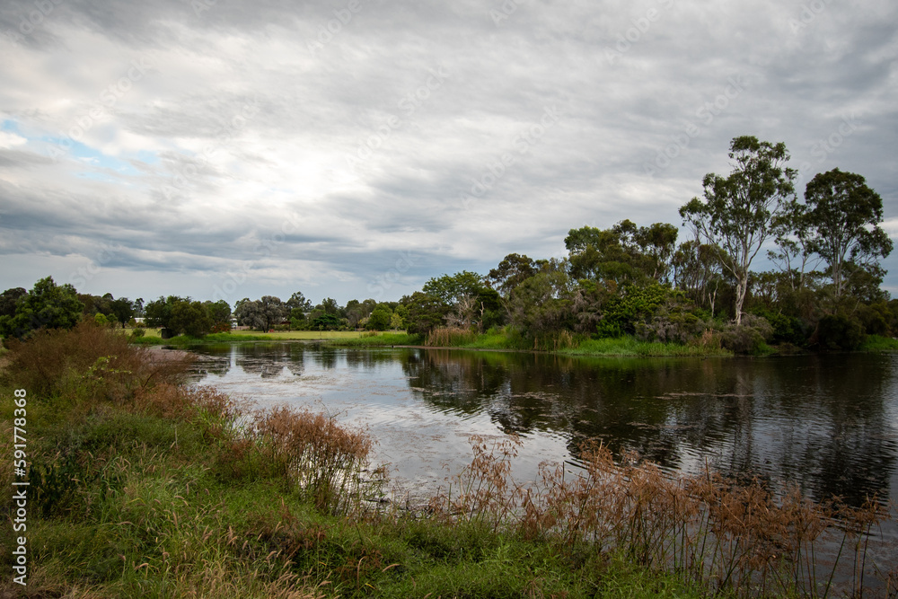 Wetland in the Australian outback
