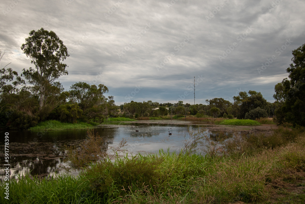 Obraz premium Wetland in the Australian outback