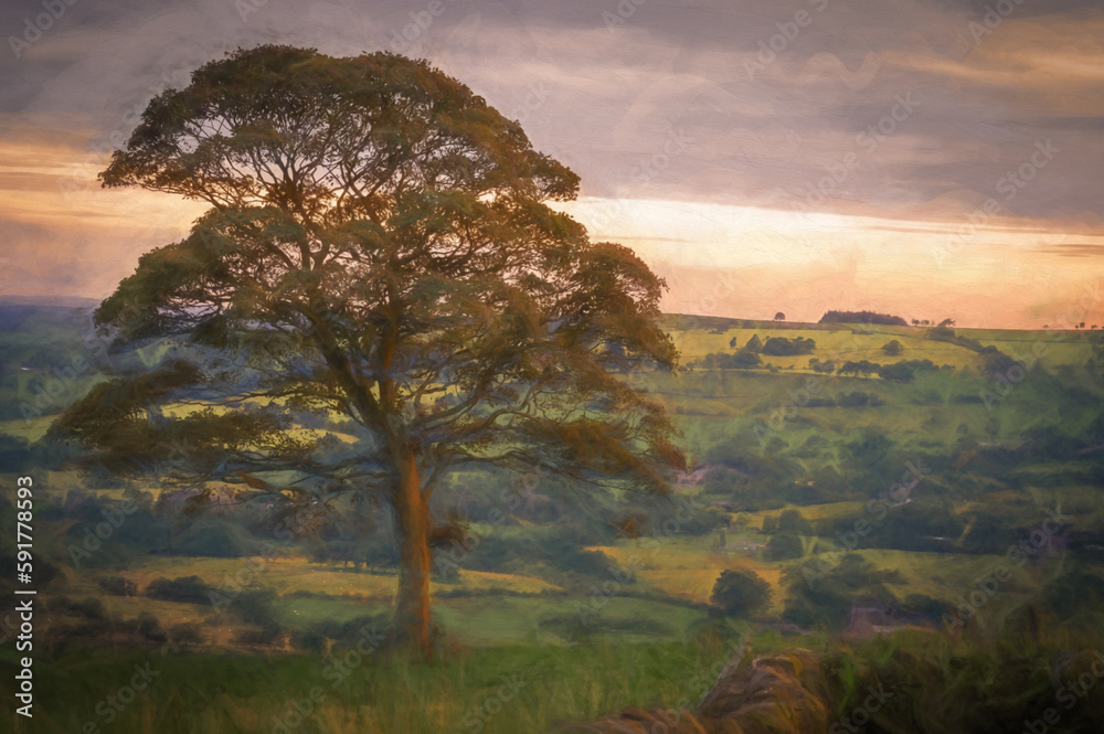 Digital painting of a lone tree at sunset on the Roaches in the Peak District National park. Tittesworth reservoir can be seen through the branches of the tree.