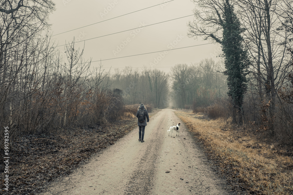 Woman stroll with er white dog on a road through the countryside, winter
