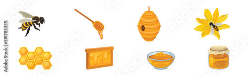 Honey with Dripping Sticky Nectar in Bowl and Honeycomb Vector Set
