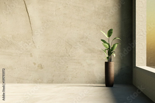 Minimalist empty room with concrete wall and floor and indoor green plants. 3d rendering