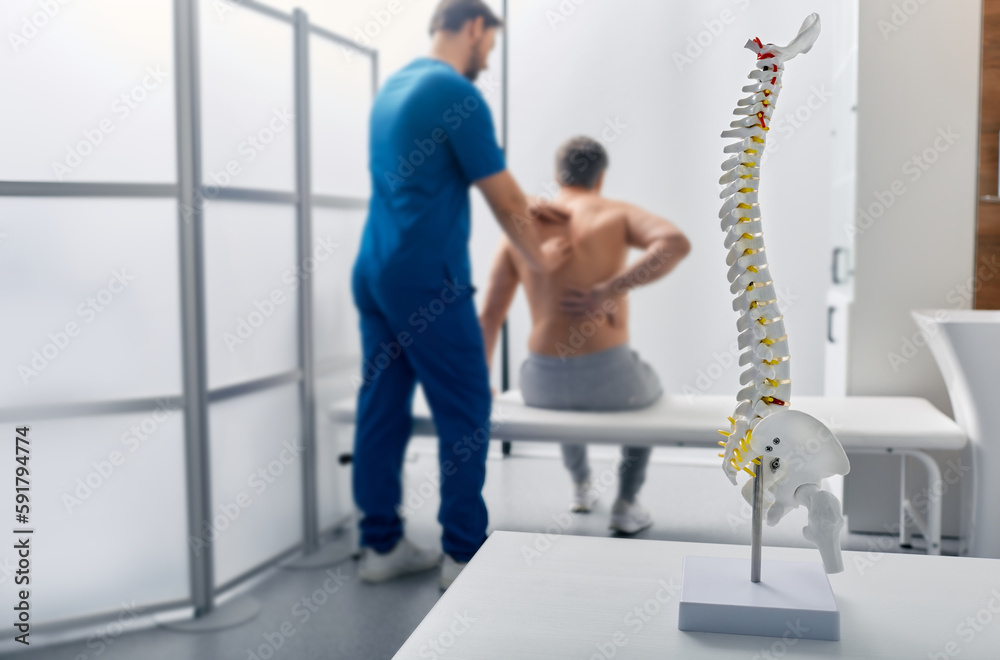 Anatomical model of spine on table in manual therapist's office. Adult man patient during spinal exam by physiotherapist on background, soft focus - obrazy, fototapety, plakaty 