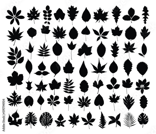 A set of silhouettes leaves of trees and shrubs. 