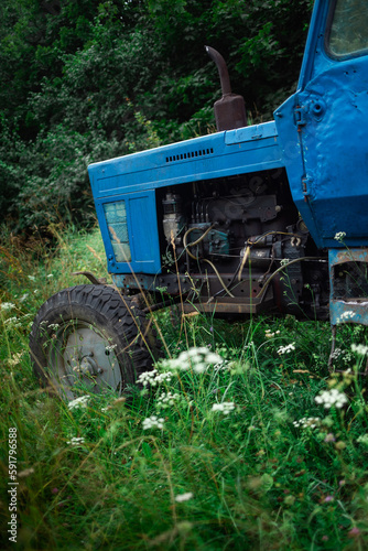 Blue vintage tractor ina mid summer grass with white flowers and trees at background