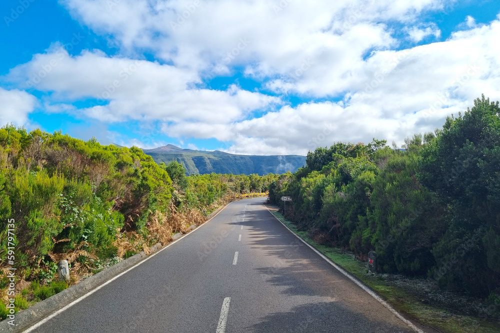 A picturesque road along the green vegetation on a tropical island.