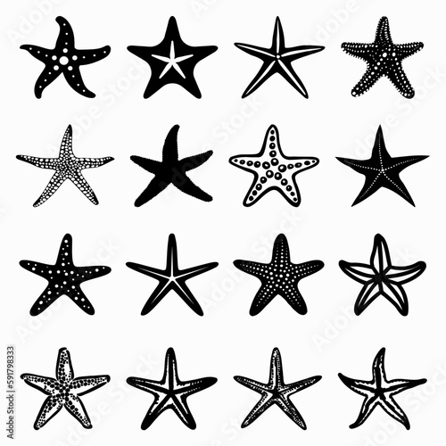 STARFISH VECTOR COLLECTION