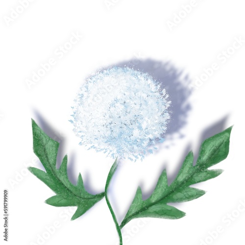 white flower on white background