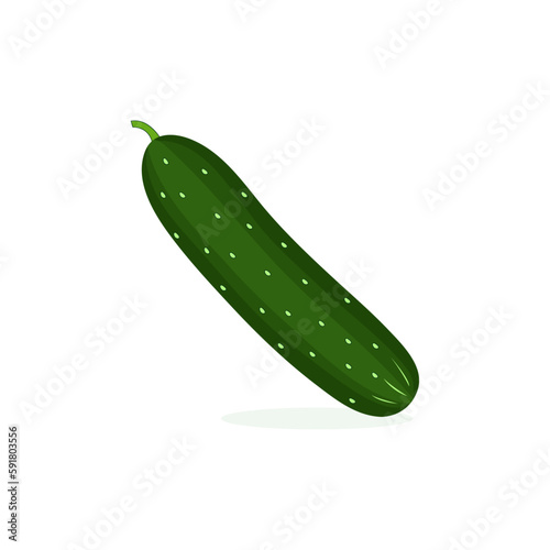 fresh green cucumber vector design illustrations, cucumber icon hand drawn cartoon isolated on white background