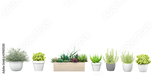 Set of cacti plants in pots on transparent background, 3D rendering, for illustration, digital composition and architecture visualization