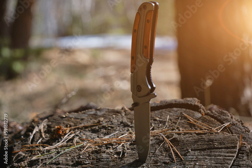 Folding knife for survival is stuck in stump sawn tree against background of a pine forest of sunlight.