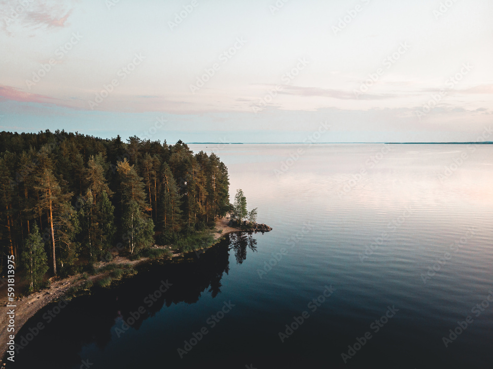 Breathtaking high-angle view of a dense forest next to a vast dark lake