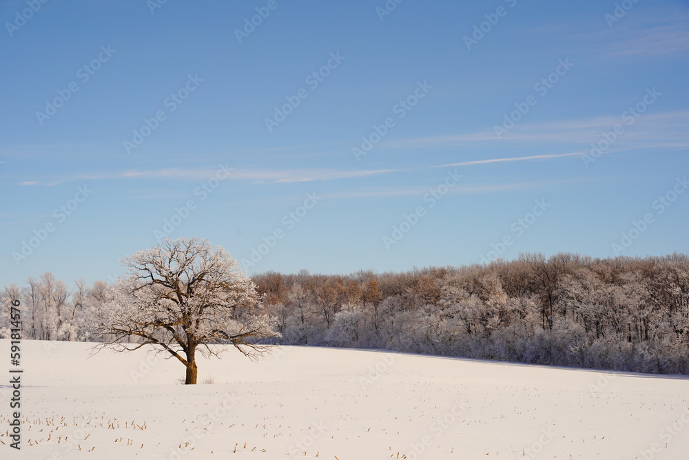 Frozen Winter country landscape outside of Campbellsport, Wisconsin