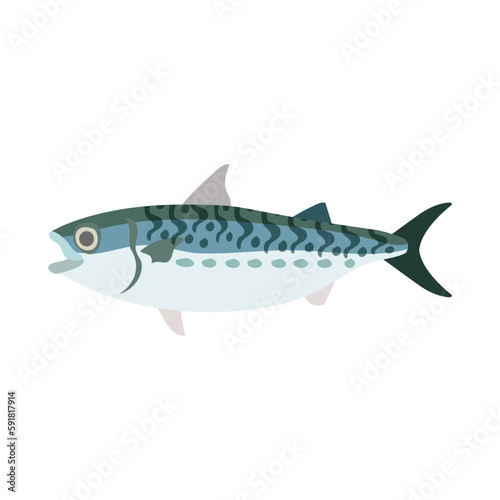 ゴマサバ。フラットなベクターイラスト。 Blue mackerel. Flat designed vector illustration.