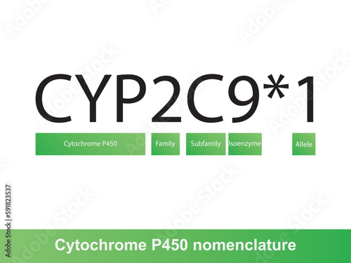 Cytochrome P450 CYP2D6 nomenclature diagram showing family, subfamily, enzyme and allele. Scientific illustration for biochemistry, pharmacology, biology education.
