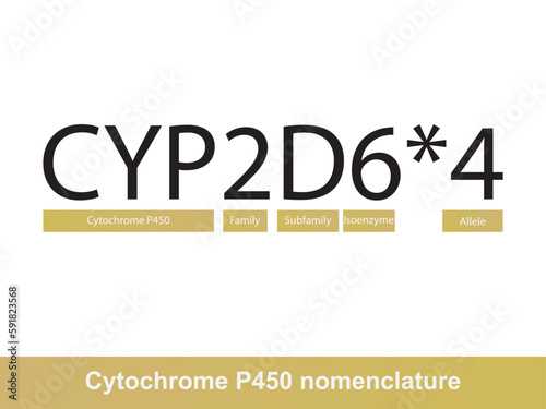 Cytochrome P450 CYP2C9 nomenclature diagram showing family, subfamily, enzyme and allele. Scientific illustration for biochemistry, pharmacology, biology education. photo