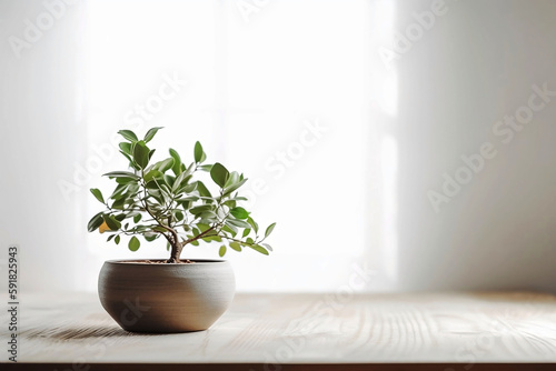 Home Decor. Wooden Table with Tree pot on White Background and Copy Space or place Product © Thares2020