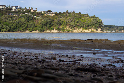 Natural view of low tide at Matakatia Beach in Auckland, New Zealand photo