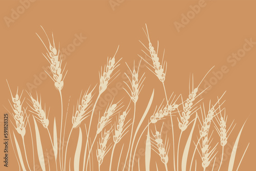Field of ears of wheat. Heap of ears of wheat, dried whole grains. Cereal harvest, agriculture, organic farming. Background from ears of wheat drawn by hand. Design element