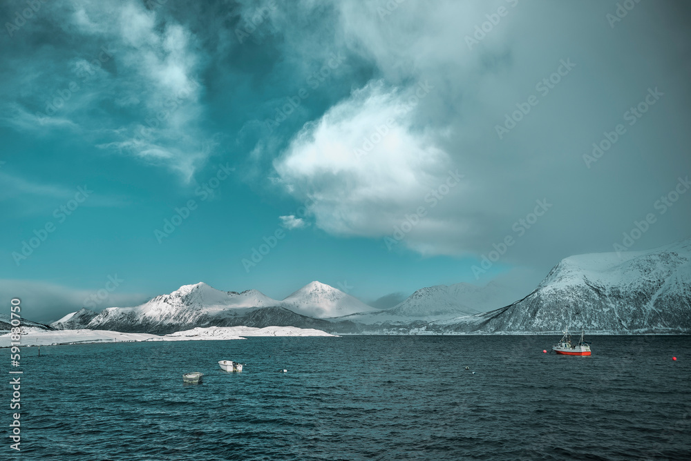 Cloudy view of sea with boats and snowy mountains