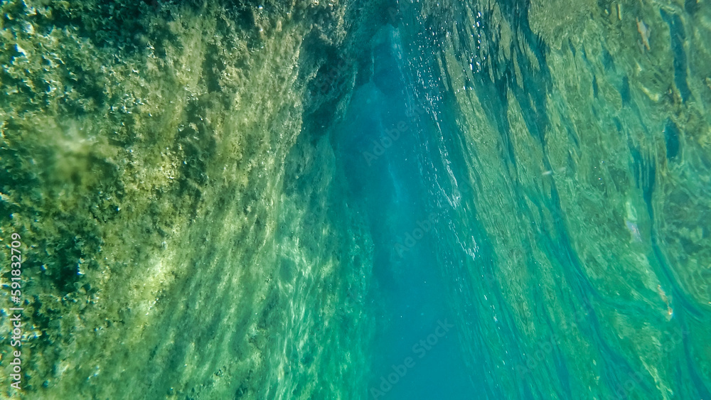 Underwater cave. Marine vegetation in Adriatic Sea. Dalmatia. Croatia. Europe