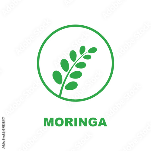 green moringa leaf logo, for herbal ingredients, moringa farming, health, medicine industry, beauty, therapy, concept design vector illustration icon template with a modern concept