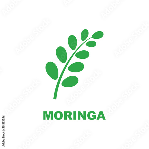 green moringa leaf logo, for herbal ingredients, moringa farming, health, medicine industry, beauty, therapy, concept design vector illustration icon template with a modern concept