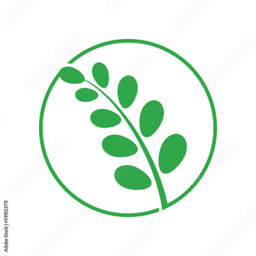 green moringa leaf logo, for herbal ingredients, moringa farming, health, medicine industry, beauty, therapy, concept design vector illustration icon template with a modern concept © acilliaeggi