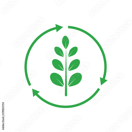 green moringa leaf logo, for herbal ingredients, moringa farming, health, medicine industry, beauty, therapy, concept design vector illustration icon template with a modern concept