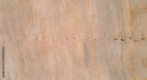 Aerial view of row of footprints on a sandy beach