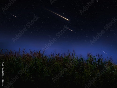 Meteor shower over a cornfield. Dreamy landscape with falling stars. Meteorites fly in the sky.