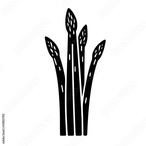 Asparagus vector illustration isolated on transparent background