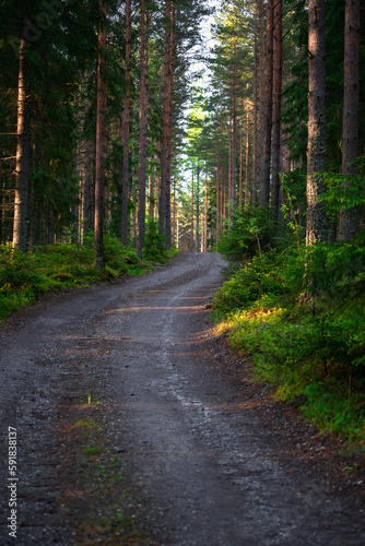 Vertical shot of a narrow road through a forest