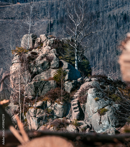 Vertical shot of the Moos Wand in Romkerhalle, Harz, Germany photo