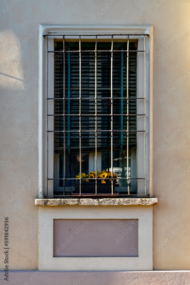 Vertical shot of a window with old gratings during the day
