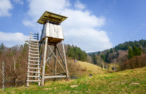 View of a wooden tree stand, or a deer stand, for hunters in the meadow © Helmut Krahl/Wirestock Creators