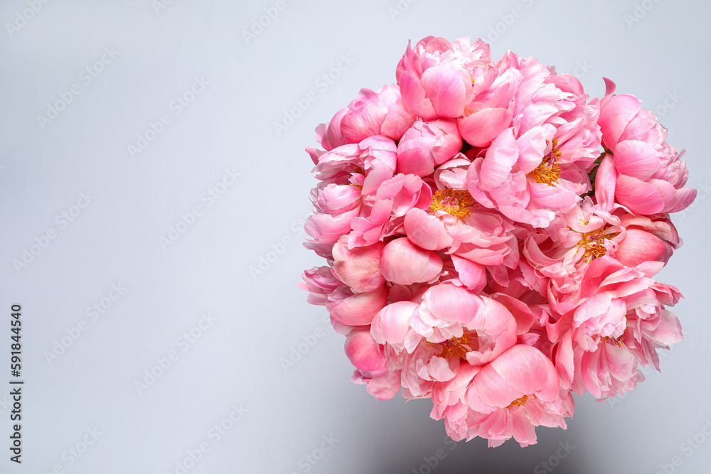 Beautiful pink peonies against white background, top view. Space for text